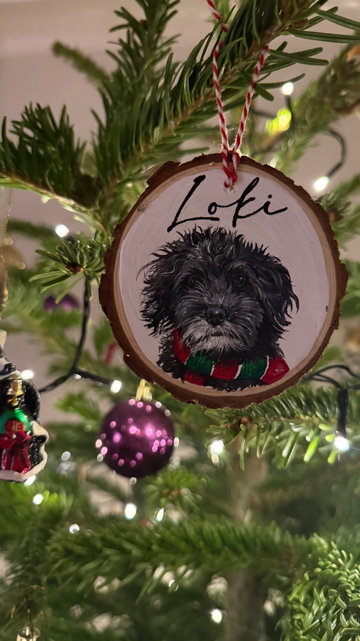Hand Painted Pet Portrait Decoration PRE ORDER FOR NOVEMBER