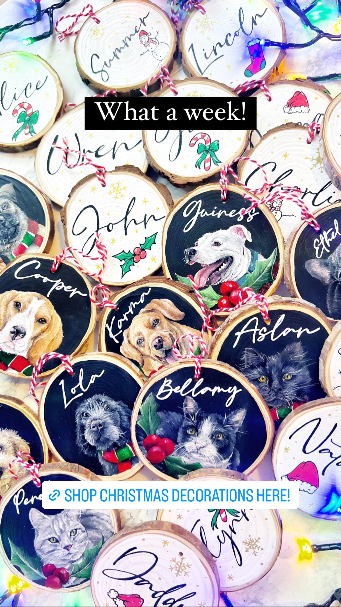 Hand Painted Pet Portrait Decoration PRE ORDER FOR NOVEMBER
